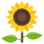 1740472081978.png 1740472081978.png