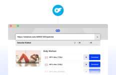 onlyfans-downloader.jpg